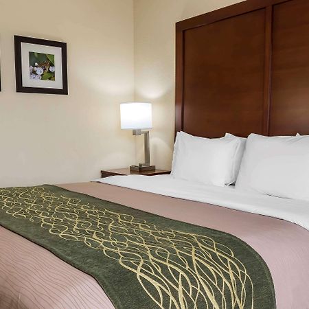 Comfort Inn - Pocono Mountains White Haven Zewnętrze zdjęcie