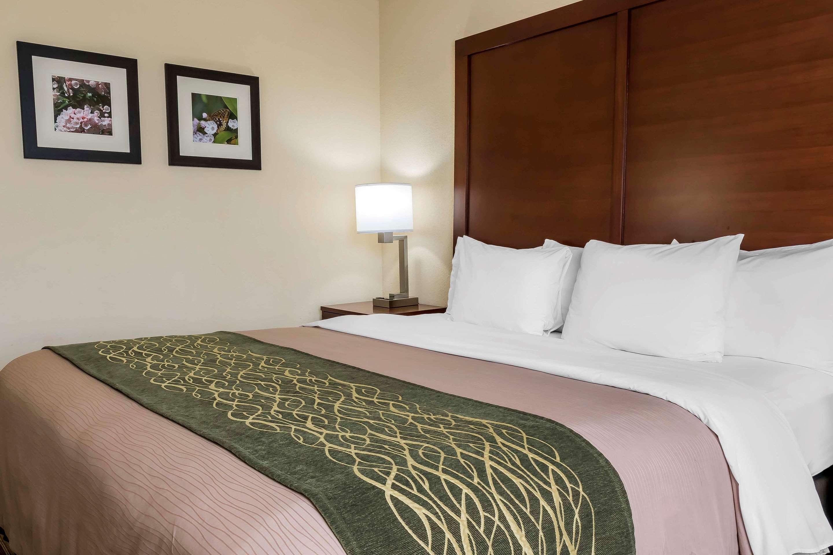 Comfort Inn - Pocono Mountains White Haven Zewnętrze zdjęcie