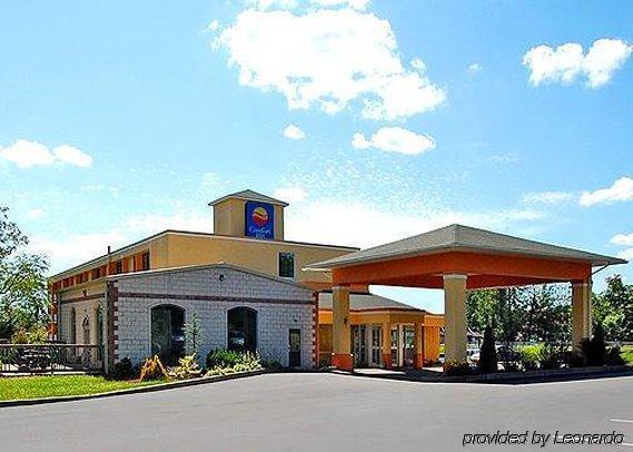 Comfort Inn - Pocono Mountains White Haven Zewnętrze zdjęcie