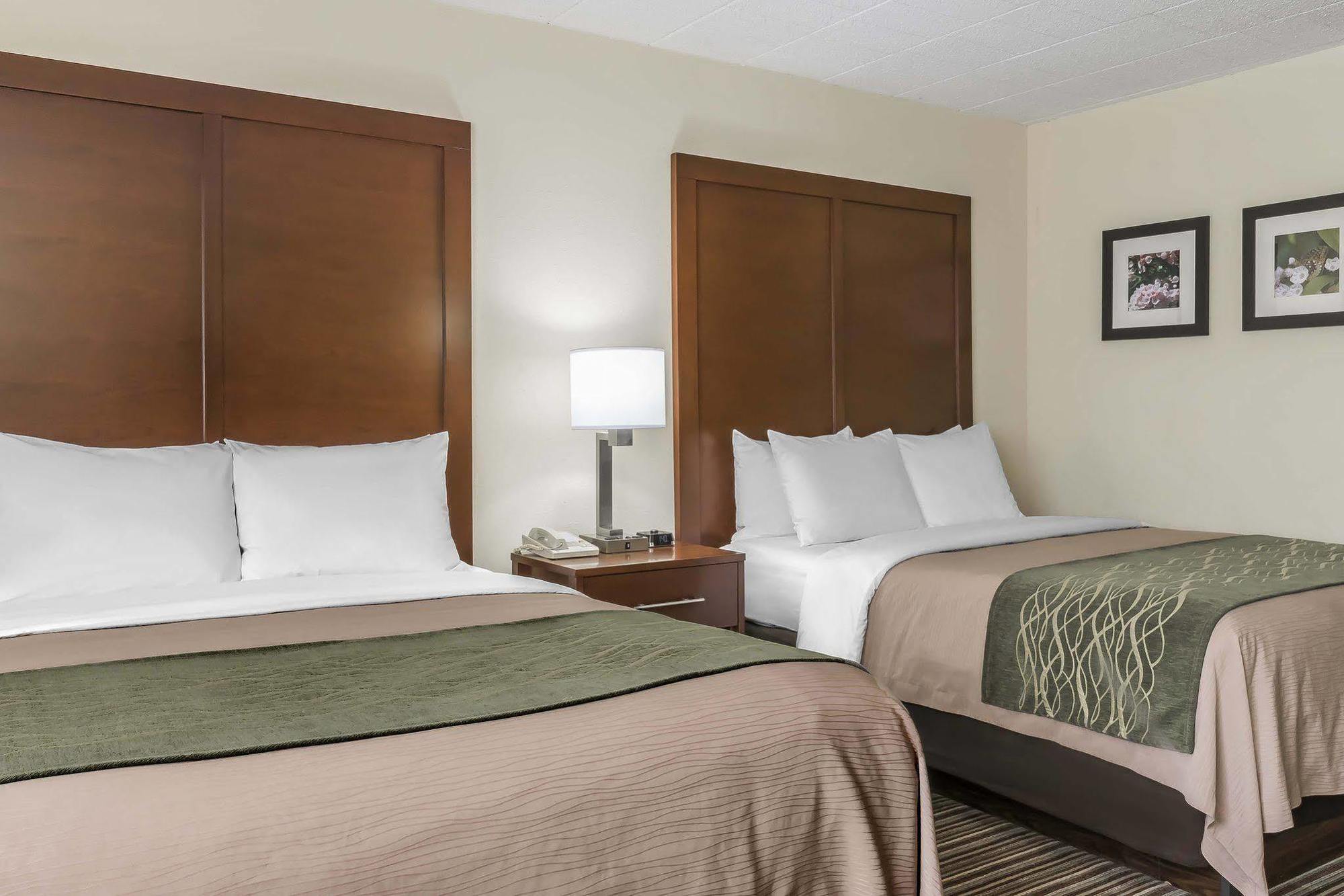 Comfort Inn - Pocono Mountains White Haven Zewnętrze zdjęcie